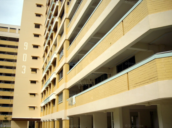 Jurong West Street 91 thumbnail photo